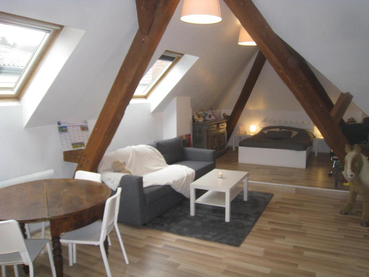 Chambres Privatives Chez L'Habitant Guebwiller Eksteriør billede