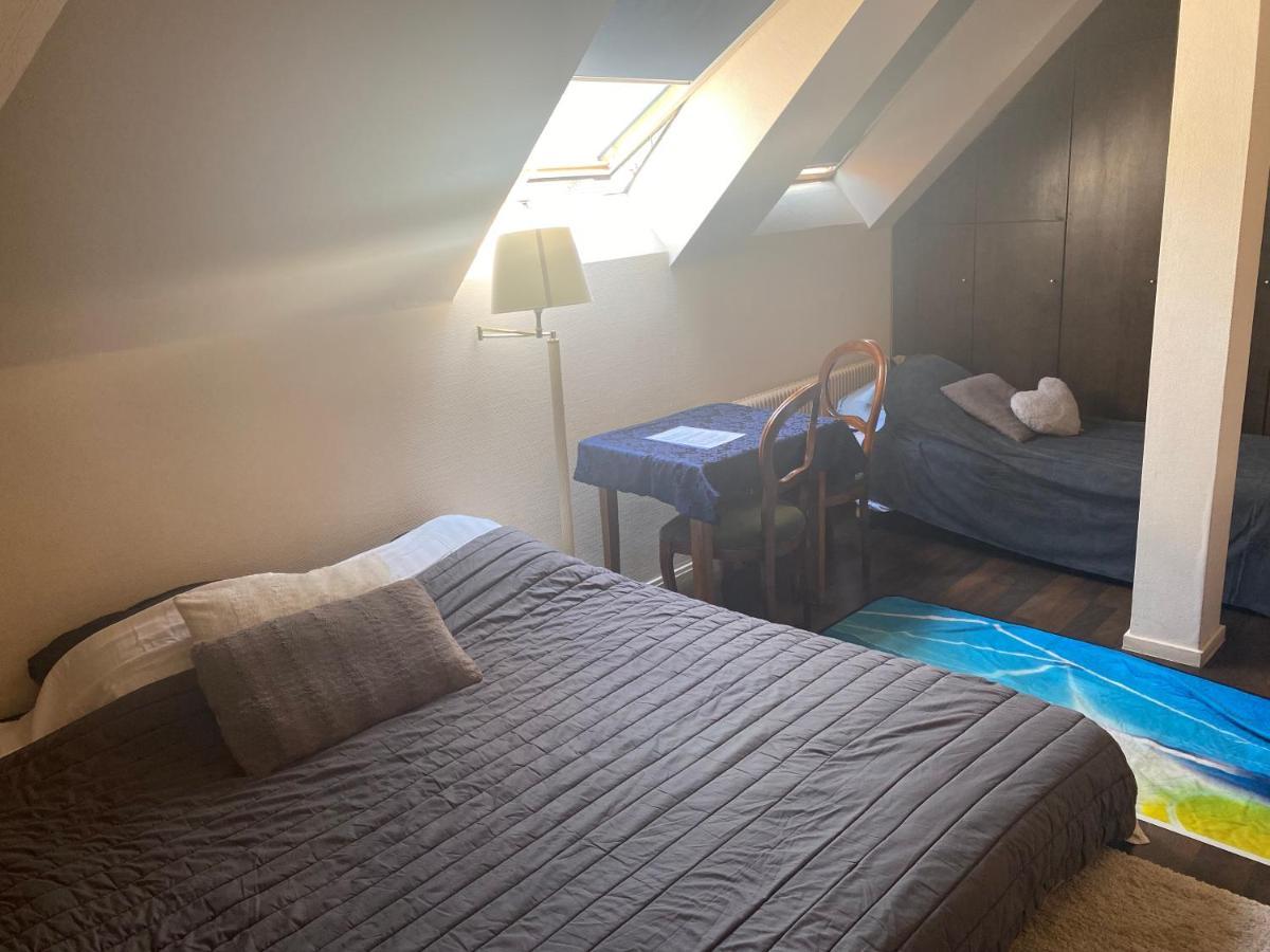 Chambres Privatives Chez L'Habitant Guebwiller Eksteriør billede