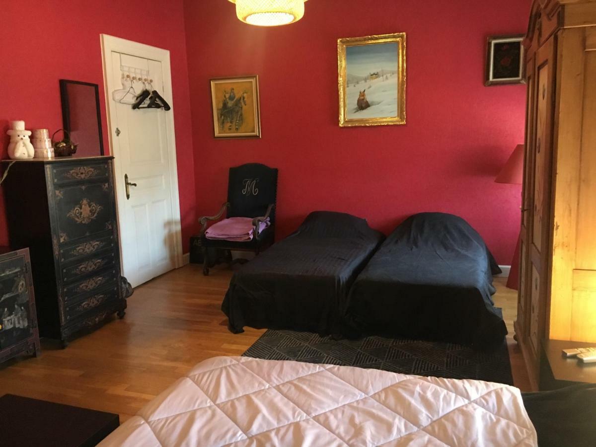 Chambres Privatives Chez L'Habitant Guebwiller Eksteriør billede