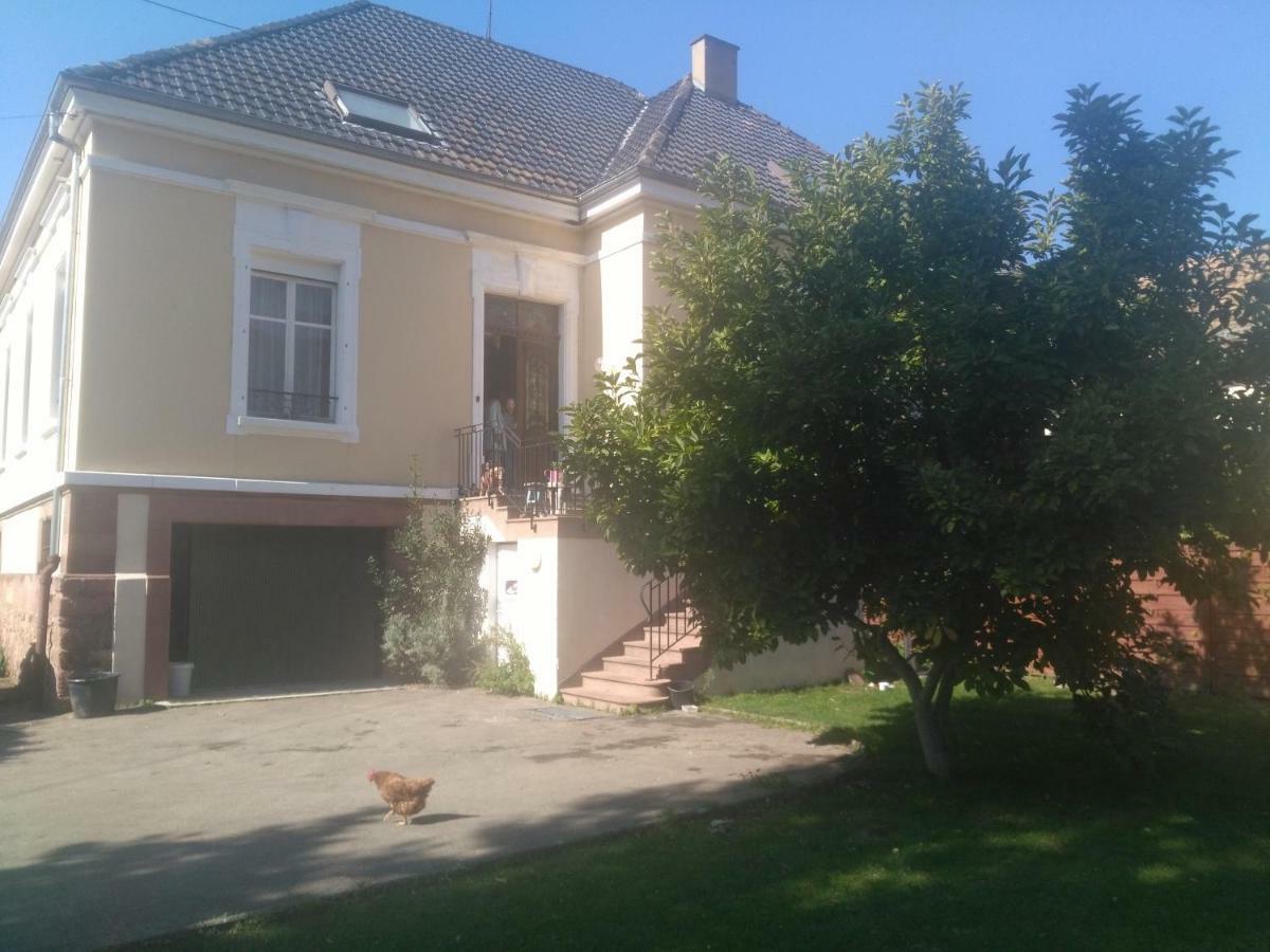 Chambres Privatives Chez L'Habitant Guebwiller Eksteriør billede