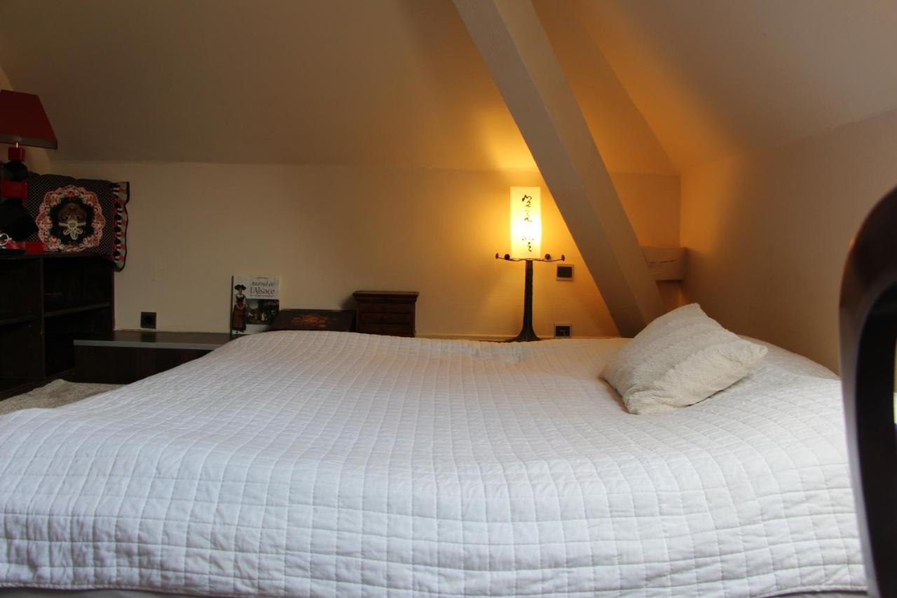 Chambres Privatives Chez L'Habitant Guebwiller Eksteriør billede